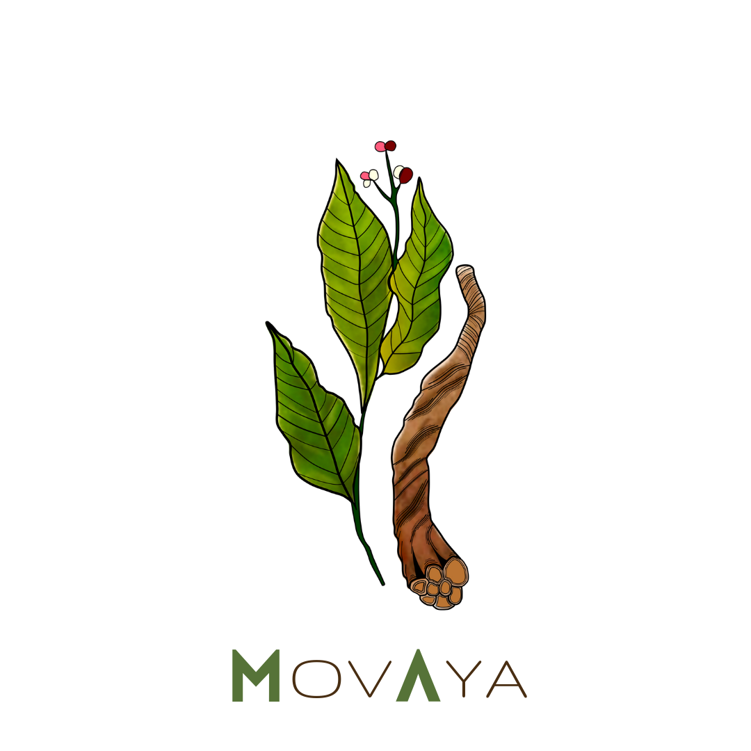 Movaya